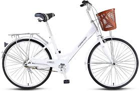Stylowy Rower Miejski dla Dorosłych 24 cale