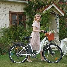 DYU 26'' Elektryczny Rower Ebike z 6 Biegami