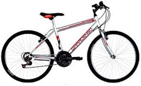 Rower Damski MTB 24" w Ogrodzie - 24 Kolory